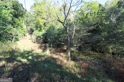 0 Dry Valley Road, Summerville, GA 30747 - Photo 5