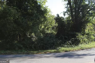 0 Dry Valley Road, Summerville, GA 30747 - Photo 3