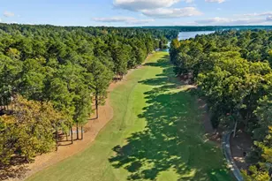 1040 Kimbrough Hill Ln, Greensboro, GA 30642 - Photo 3