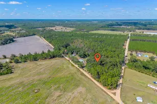 6162 Griner Rd, Patterson, GA 31557 - Photo 3