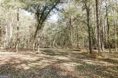 339 Sam Groves Street, Danielsville, GA 30633 - Photo 35
