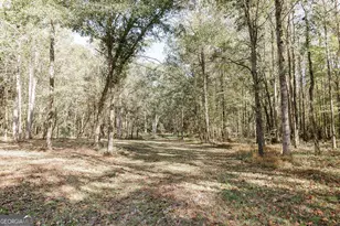 339 Sam Groves St, Danielsville, GA 30633 - Photo 35