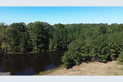 876 Simpson Mill Road, Locust Grove, GA 30248 - Photo 29