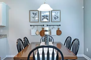 205 Storm Ln, Hoschton, GA 30548 - Photo 13