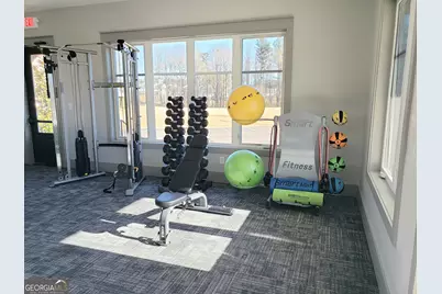 249 Storm Lane, Hoschton, GA 30548 - Photo 19