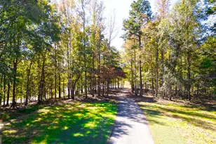 248 Storm Ln, Hoschton, GA 30548 - Photo 29