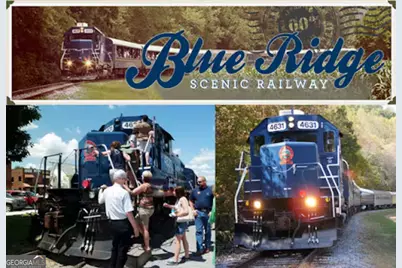 469 Mull Drive, Blue Ridge, GA 30513 - Photo 39