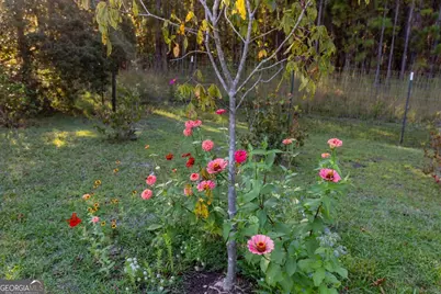 135 Runs Crossing Drive, Springfield, GA 31329 - Photo 33