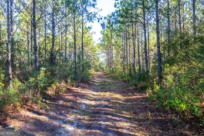 0 Odum Road, Ellwood, GA 31552 - Photo 9