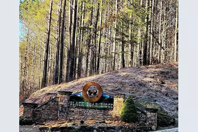 37 Black Bear Ridge Road, Ellijay, GA 30536 - Photo 1