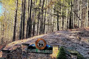 37 Black Bear Ridge Rd, Ellijay, GA 30536 - Photo 1