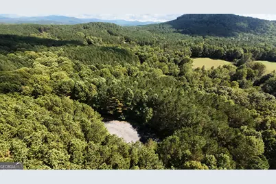 37 Black Bear Ridge Road, Ellijay, GA 30536 - Photo 7