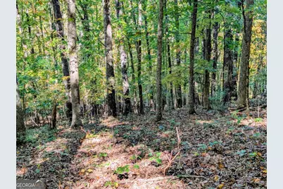 Lot 30 Rocky Knob Drive, Young Harris, GA 30582 - Photo 3