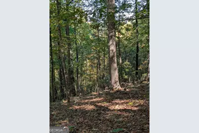 Lot 30 Rocky Knob Drive, Young Harris, GA 30582 - Photo 9