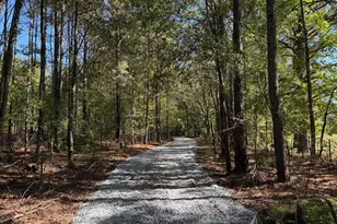 6 5 Acres Williams Mill Rd, Zebulon, GA 30295 - Photo 3