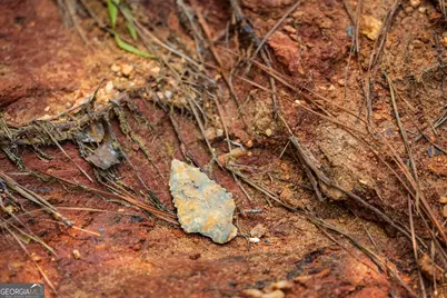 0 County Line Road, Talbotton, GA 31827 - Photo 81