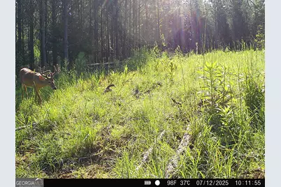 0 County Line Road, Talbotton, GA 31827 - Photo 83