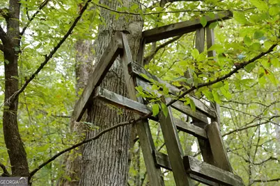 0 County Line Road, Talbotton, GA 31827 - Photo 13