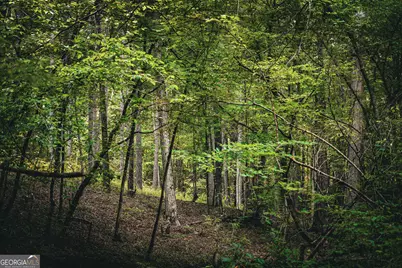 0 County Line Road, Talbotton, GA 31827 - Photo 21