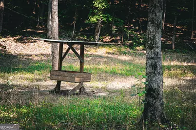 0 County Line Road, Talbotton, GA 31827 - Photo 67