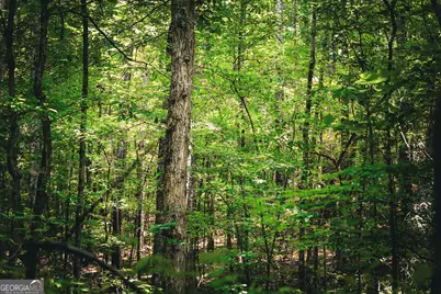 0 County Line Road, Talbotton, GA 31827 - Photo 19