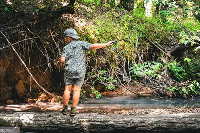 0 County Line Road, Talbotton, GA 31827 - Photo 63