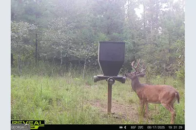 0 County Line Road, Talbotton, GA 31827 - Photo 87