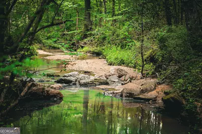 0 County Line Road, Talbotton, GA 31827 - Photo 29