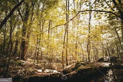 0 County Line Road, Talbotton, GA 31827 - Photo 41