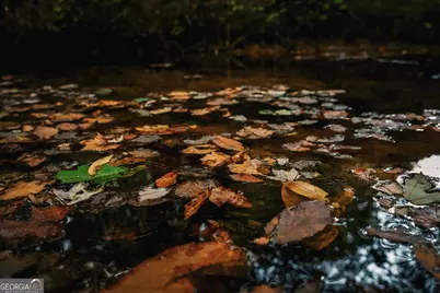 0 County Line Road, Talbotton, GA 31827 - Photo 15