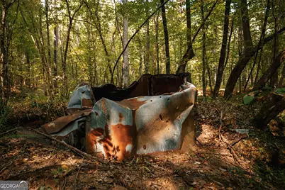 0 County Line Road, Talbotton, GA 31827 - Photo 37