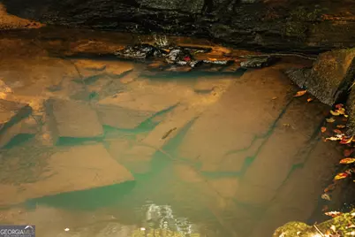 0 County Line Road, Talbotton, GA 31827 - Photo 39