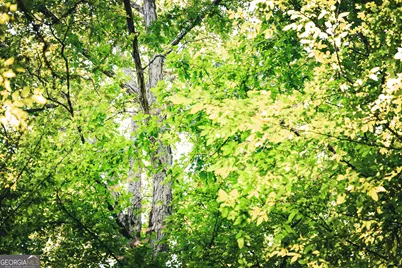 0 County Line Road, Talbotton, GA 31827 - Photo 31