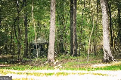 0 County Line Road, Talbotton, GA 31827 - Photo 71