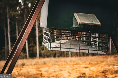 0 County Line Road, Talbotton, GA 31827 - Photo 45