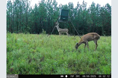 0 County Line Road, Talbotton, GA 31827 - Photo 95