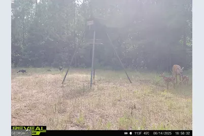 0 County Line Road, Talbotton, GA 31827 - Photo 89