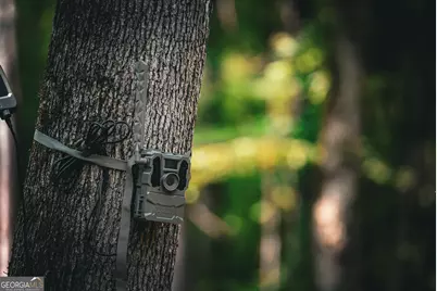 0 County Line Road, Talbotton, GA 31827 - Photo 69