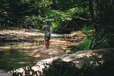 0 County Line Road, Talbotton, GA 31827 - Photo 1
