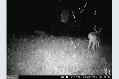 0 County Line Road, Talbotton, GA 31827 - Photo 97