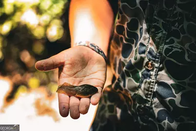 0 County Line Road, Talbotton, GA 31827 - Photo 33