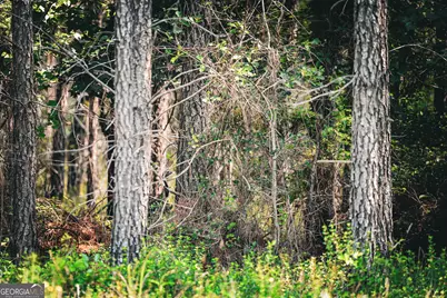 0 County Line Road, Talbotton, GA 31827 - Photo 75