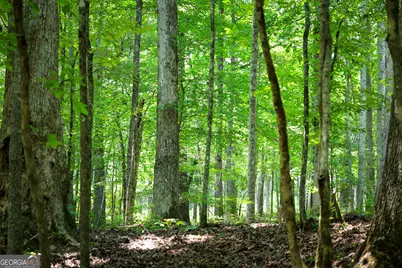 0 County Line Road, Talbotton, GA 31827 - Photo 27