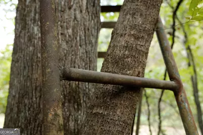 0 County Line Road, Talbotton, GA 31827 - Photo 11