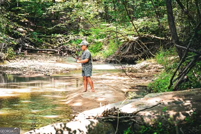 0 County Line Road, Talbotton, GA 31827 - Photo 17