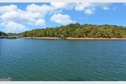 175 Nelle Drive, Hartwell, GA 30643 - Photo 57