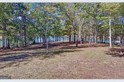 175 Nelle Drive, Hartwell, GA 30643 - Photo 37