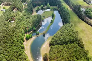 23709 Ga Hwy 46, Pembroke, GA 31321 - Photo 37