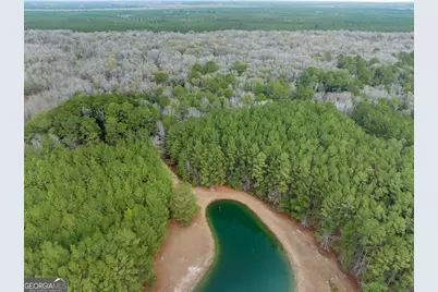 23709 Ga Highway 46, Pembroke, GA 31321 - Photo 31