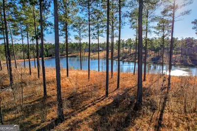 2164 Lincolnton Highway, Elberton, GA 30635 - Photo 111